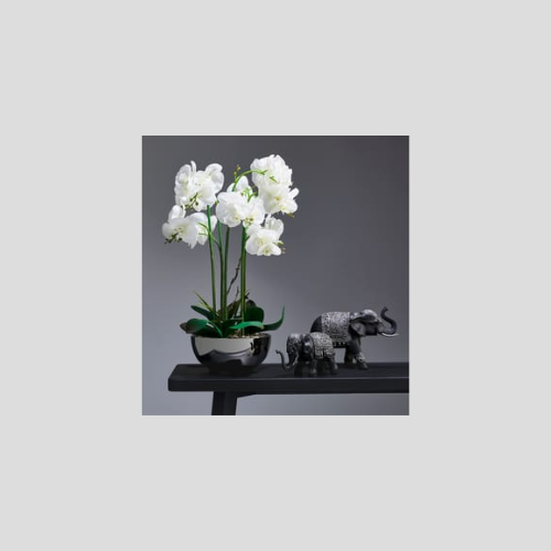 Home Collections Real Touch Orchid in Elegant Silver Pot