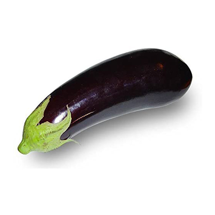 Aubergine Large