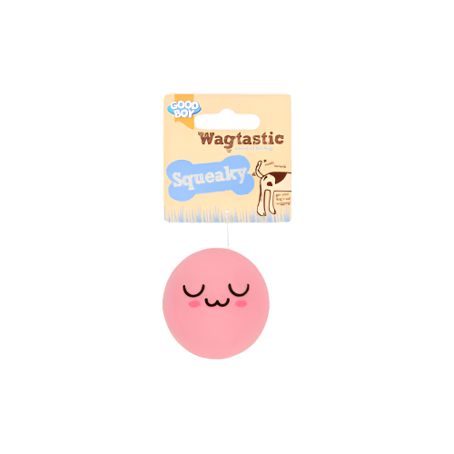 Wagtastic Face Balls Dog Toy – Colourful Rubber Ball with Silly Face and Squeaker