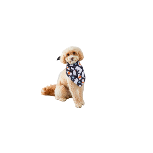 My Pets Halloween Pet Bandana – Ghost Print for Cats & Dogs | IndianGroceryUK