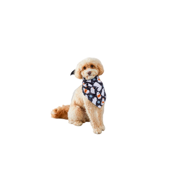 My Pets Halloween Pet Bandana – Ghost Print for Cats & Dogs | IndianGroceryUK